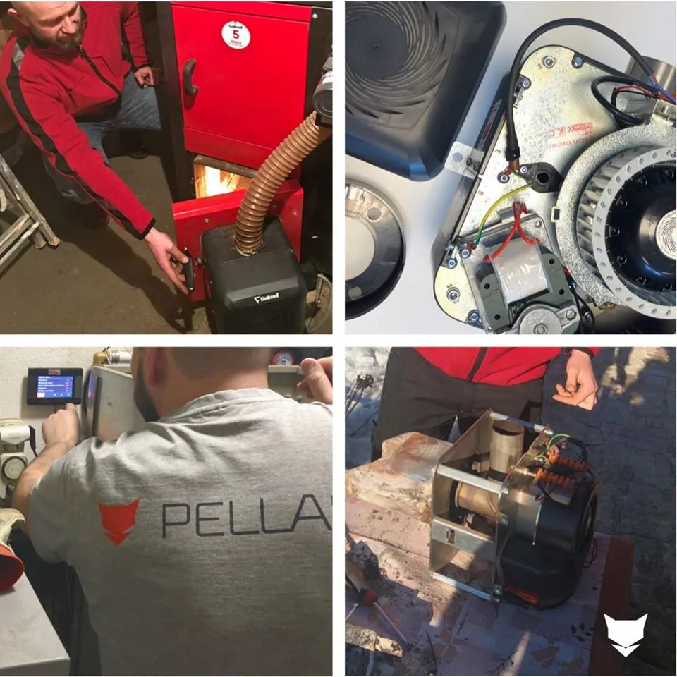 PROMOZIONE SULLA REVISIONE DEL BRUCIATORE PELLASX